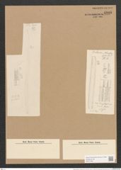 Nitzschia smithi var. suflexuosa Grun. (de-Toni-Nr.: Genus 47, Species 2075) Zeichnungen Sammlung Grunow Nr. 4105 (NHMW-BOT-W0371964)